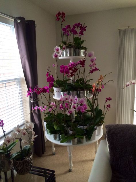 Orchid plant stand.What a wonderful idea Outdoor Plant Stand Ideas, Flower Shelves, Diy Orchids, Outdoor Plant Stand, Plant Stand Ideas, Indoor Garden Rooms, Plants Stand, Indoor Orchids, Flower Shelf