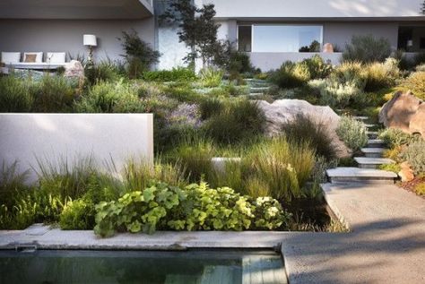 Modern vs. Contemporary Architecture and Landscape - Matthew Murrey Design Villa Architecture, Succulent Landscape Design, Hillside Garden, Succulent Landscaping, Sloped Garden, Modern Landscape Design, Easy Landscaping, Modern Garden Design, Landscape Plans