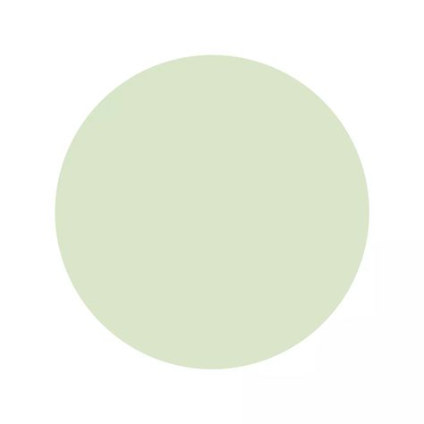 HEX: #d8e6c8 · RGB: 216, 230, 200 · HSL: 88, 37%, 84% · HSB (HSV): 88, 13%, 90% · CMYK: 6%, 0%, 13%, 10% · Pale Green · Spring Mist · Willow Green Grace Color, Green Color Code, Html Color Codes, Soft Green Color, Hex Color Palette, Willow Green, Green Spring, Html Color, Hex Colors