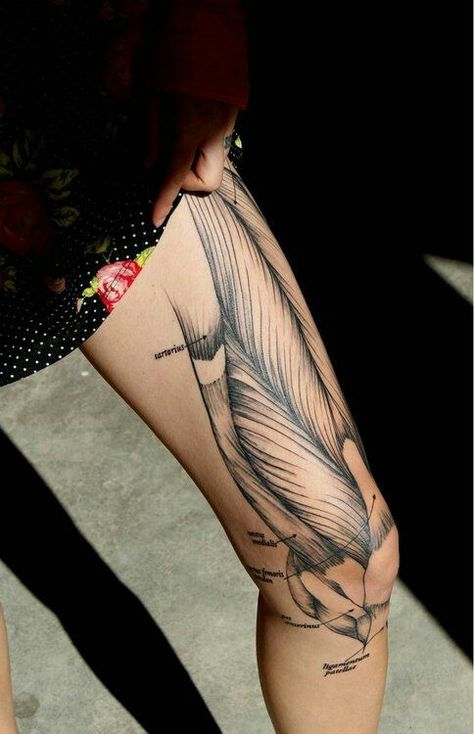 Anatomical leg tattoo Anatomical Tattoos, Fingerprint Tattoos, Anatomy Tattoo, Gray's Anatomy, Polynesian Tattoo Designs, Muscle Tattoo, Bone Tattoos, Leg Tattoos Women, Leg Sleeve Tattoo