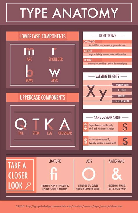 https://www.behance.net/gallery/68432549/Type-Anatomy-Infographic Type Pairing Design, Typographic Infographic, Anatomy Graphic Design, Anatomy Infographic, Font Anatomy, Typography Anatomy, Anatomy Of Type, Anatomy Of Typography, Anatomy Graphic