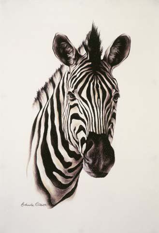 Zebra Oil Painting, African Animal Drawings, Zebra Tattoo Ideas, Zebra Tattoo, Zebra Portrait, African Animals Photography, Zebra Tattoos, Zebra Drawing, Zebra Painting