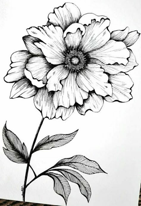 Pin by Desiree Perez on COLLAGE SHEETS/IDEAS in 2022 | Line art drawings, Watercolor flower art, Flower art drawing Beautiful Flowers Drawing Sketches, Fineliner Flowers, Fiori Art Deco, Flower Line Drawings, Pen Art Drawings, Flower Art Drawing, White Drawing, Flower Sketches, Floral Drawing