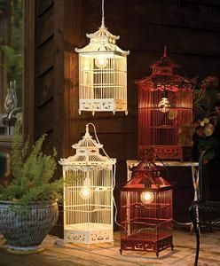 Beautiful bird cage lights. Husband must find out how to do this because I'm scared of electricity. Bird Cage Ideas, Birdcage Light, Birdcage Chandelier, Antique Bird Cages, Hanging Bird Cage, Lantern Table Lamp, Cage Chandelier, Cage Light, Bird Cage Decor