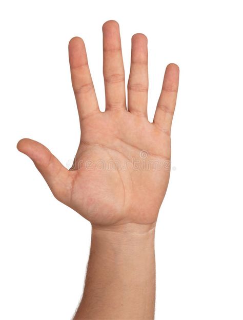 Open hand. Isolated On White   Clipping Path , #AFFILIATE, #Isolated, #hand, #Open, #Path, #Clipping #ad Open Hand Reference, Open Palm, Finger Hands, Hand Finger, Hand Palm, Hand Images, Hand Reference, Anatomy Study, Open Hands