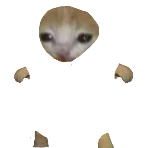 This is the cat but its transparent Milk Cat, Cat White Background Funny, Banana Cat Template, Banana Cat, Cat Meme Papercraft Template, Cat Meme Faces, Meme Cats Doodle, Pop Cat, How To Draw Cat Meme