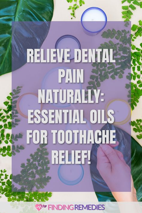 Relieve Dental Pain Naturally: Essential Oils for Toothache Relief! Essential Oils For Abscess Tooth, Natural Toothache Remedies, Essential Oils For Tooth Pain, Essential Oils For Toothache, Oils For Tooth Ache, Teeth Pain Relief, Cavity Pain, Pain Relief Essential Oils, Toothache Relief