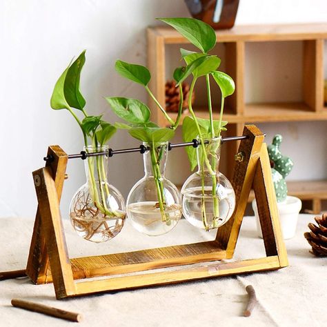 Plant Terrarium with Wooden Stand Vase Transparent, Bulb Vase, Hydroponic Plants, Planter Table, Garden Wedding Decorations, Glass Planter, Plant Vase, Planter Stand, Terraria