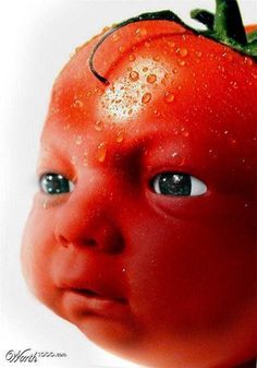 Fruit face Tomato Pot, Movie Bloopers, Tomato Seedlings, Silly Photos, Silly Images, Very Funny Pictures, Silly Pictures, Bloopers, Gorillaz