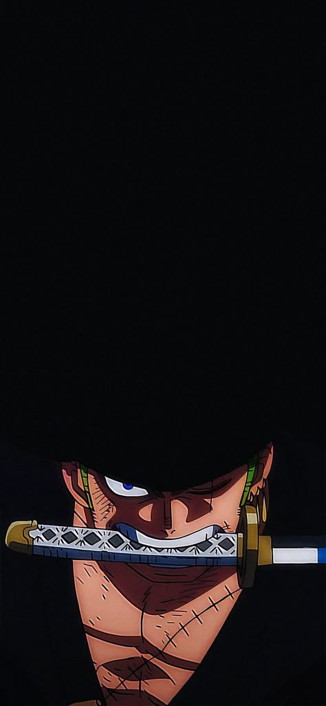 Haki One Piece, رورونوا زورو, One Piece Photos, One Piece Cartoon, Zoro Roronoa, One Piece Wallpaper Iphone, One Piece Wallpaper, One Piece Ace, Cool Anime Backgrounds