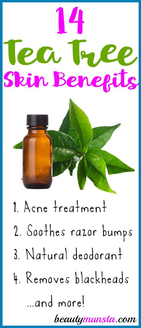 Melaleuca Oil Uses, Tea Tree Oil Skin, Tee Tree Oil, Homemade Medicine, Tea Tree Oil Benefits, Tea Tree Oil Uses, Melaleuca Essential Oil, Tea Tree Oil For Acne, Green Tea Oil