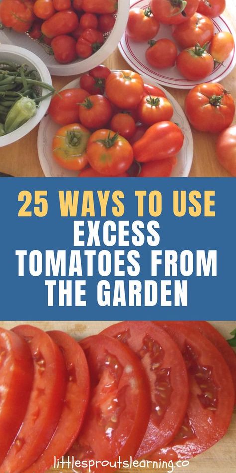 What To Can With Fresh Tomatoes, How To Use Up Fresh Tomatoes, Sauce From Garden Tomatoes, Things You Can Make With Tomatoes, Sliced Tomatoes Recipes, Tomatoes From Garden Recipes, Ways To Use Garden Tomatoes, What To Do With Heirloom Tomatoes, Ways To Use Up Tomatoes