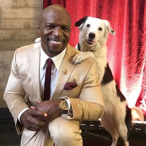 Terry Crews Shuts Down An Entitled Fan That Didn't Respect Boundaries Friday After Next, Superhero Stories, White Chicks, Terry Crews, Universal Studios Hollywood, Horror Nights, Halloween Horror Nights, Black Celebrities, The Expendables