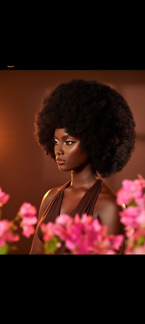 Beautiful Photoshoot Ideas, Birthday Hair, Glam Photoshoot, Afro Wigs, Beauty Photoshoot, Dark Skin Beauty, Beauty Shoot, Beauty Portrait, Dark Skin Women