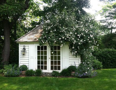 Hillbrook Collections Garden Sheds - Design Chic Design Chic Backyard Tiny House, Shed Landscaping, Backyard Getaway, Backyard Storage Sheds, Backyard Storage, Backyard Shed, Outdoor Sheds, Garden Sheds, Shed Homes