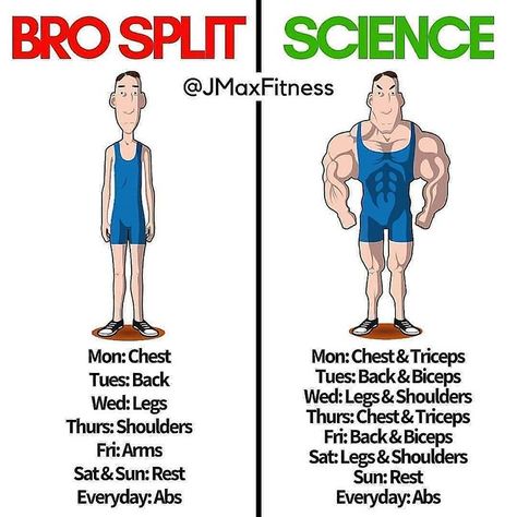 BRO SPLIT vs SCIENCE by @jmaxfitness . . What is the best workout split for you? . I remember when I started training, all I’d used to do… Bro Split, Best Workout Split, Workout Split, Logo Fitness, Workout Gym Routine, Gym Workout Guide, Transformation Fitness, Gym Antrenmanları, Bodybuilding Workout Plan