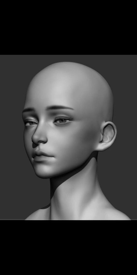 Autonomy Reference, 3d Head Reference, Human Head Reference, Yandere Face, 3d Modeling Reference, Blender Character Modeling, Blank Face, Zbrush Character, Face Angles