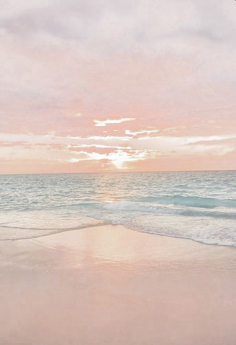 Summer Beach Wallpaper, Flower Background Iphone, Wallpaper Iphone Boho, Forest Sunset, Pastel Sunset, Beach Background, Ocean Wallpaper, Beach Wallpaper, Flower Background Wallpaper