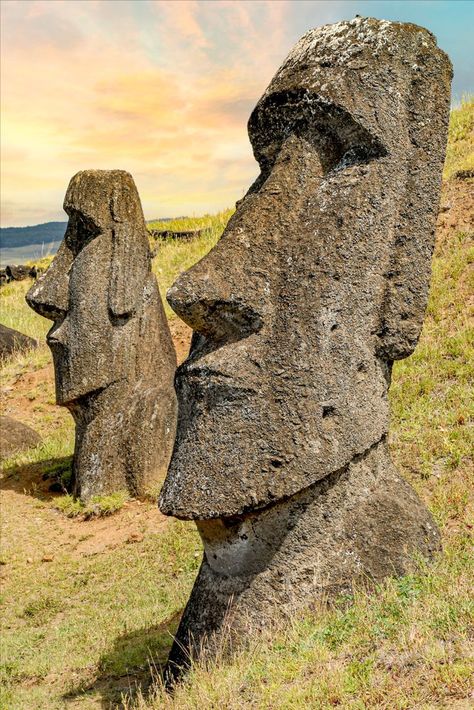 Moai sculptures at Rano Raraku on Easter Island, Chile-Stock Photo Moai Drawing, Afro Hair Drawing, Easter Island Chile, Easter Island Moai, Easter Island Heads, Easter Island Statues, Tiki Statues, Tiki Totem, European Sculpture