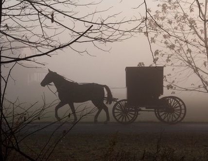 Amish Culture, Victorian Aesthetic, Horse And Buggy, Ciel Phantomhive, Amish Country, The Infernal Devices, Horse Drawn, Corpse Bride, The Darkness