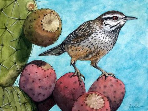 Wildlife Watercolor, Arizona Art, Wren Bird, Cactus Paintings, Az Art, Cactus Wren, Arizona Cactus, Blue Jay Bird, Cactus Painting