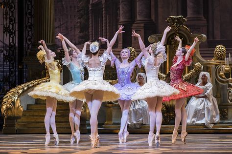 Olga Smirnova, Dancing Princess, Lilac Fairy, Sleeping Beauty Ballet, Sleeping Beauty Fairies, Twelve Dancing Princesses, Princess Charm School, Ballerina Barbie, 12 Dancing Princesses