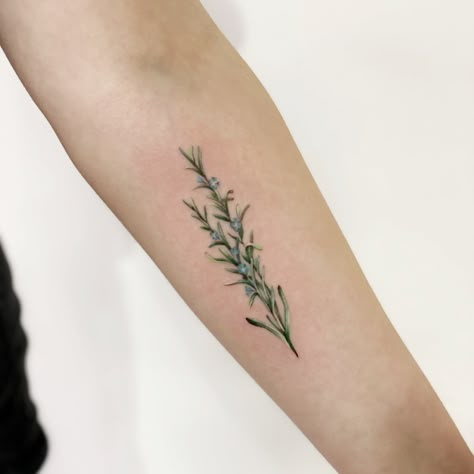 Rosemary Tattoo, Herb Tattoo, Kraken Tattoo, Chef Tattoo, Baby Tattoo, Rosemary's Baby, Bouquet Tattoo, Tattoo Clothing, Modern Tattoos