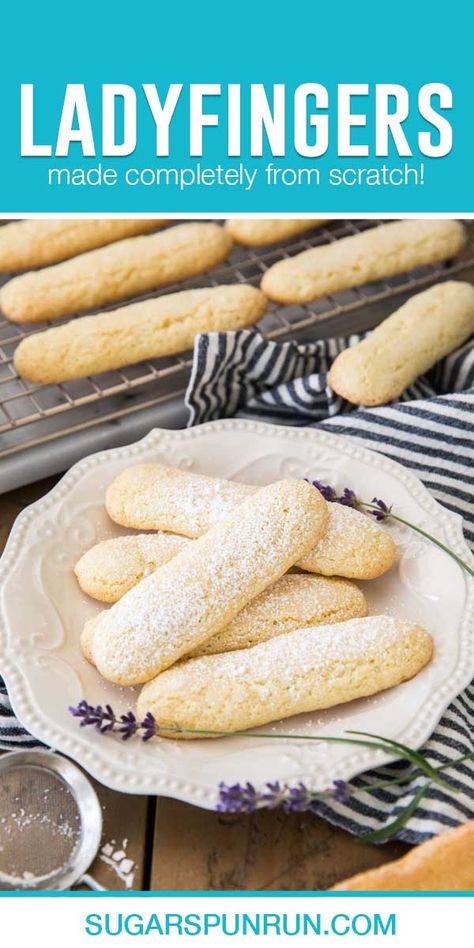 This recipe for ladyfingers (also known as Savoiardi) is so simple and fast and easily made with ingredients you probably already have! Ladyfinger Cookies Recipe, Almond Fingers Recipe, Sponge Fingers Recipe, Sponge Cookies, Savoiardi Recipe, Lady Fingers Dessert, Homemade Ladyfingers, Lady Fingers Recipe, Lady Finger Cookies