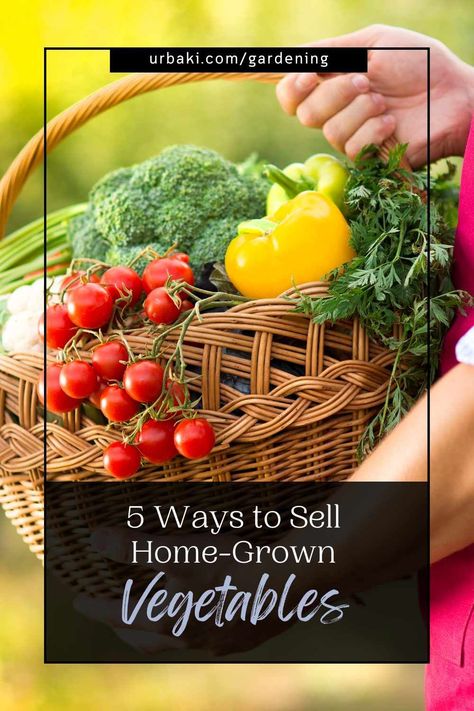 Your thriving vegetable garden has produced an abundance of fresh, organic produce, and now you're eager to share it with your community while earning some extra income. In this informative article, we'll explore five effective strategies to sell your home-grown vegetables, each with its unique advantages and considerations. Whether you're a seasoned gardener with years of experience or new to the world of selling produce, these valuable strategies will help you connect with eager buyers and... Selling Vegetables From Home, Community Supported Agriculture, Home Grown Vegetables, Bountiful Harvest, Farm Stand, Organic Produce, Locally Grown, Extra Income, Local Food