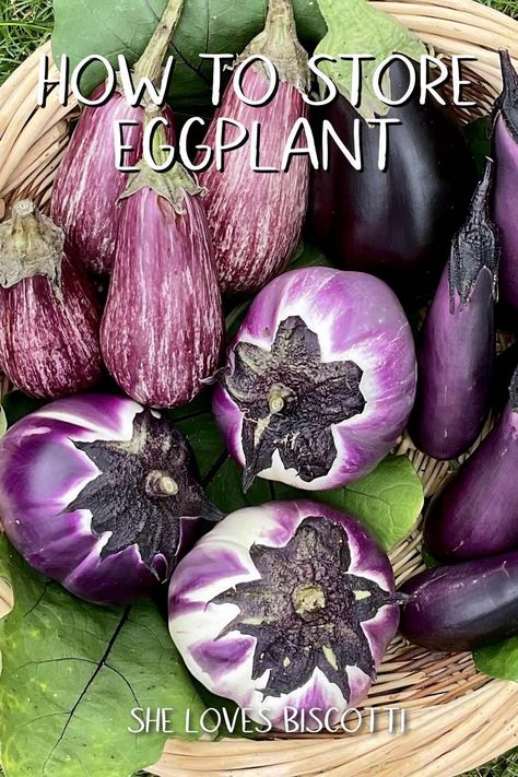 Eggplants are versatile vegetables that can be used in many dishes. Learn how to store them for maximum longevity. This article explores how to store eggplant, including storing it on the counter, in a fridge, or in a temperature-controlled space. How To Store Eggplant, Preserving Eggplant, Italian Christmas Cookies, Italian Recipes Traditional, Italian Recipes Easy, Italian Soup, Italian Appetizers, Italian Christmas, Mini Eggs