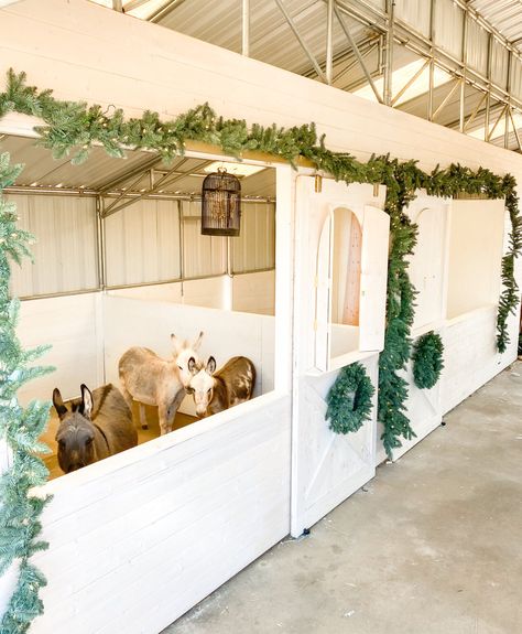 Como Plantar Pitaya, Garland Ornaments, Stall Decorations, Thermaland Oaks, Barn Christmas, Horse Barn Ideas Stables, Mini Barn, Horse Barn Designs, Goat Barn