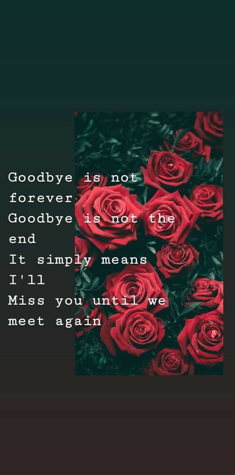 Goodbye Until We Meet Again, I Hope We Meet Again, Not A Goodbye But See You Later Quotes, Will I Ever See You Again Quotes, It’s Not Goodbye Its See You Later, When I See You Again, You Will Be Missed, We Will Meet Again Quotes, Until We Meet Again Tattoo