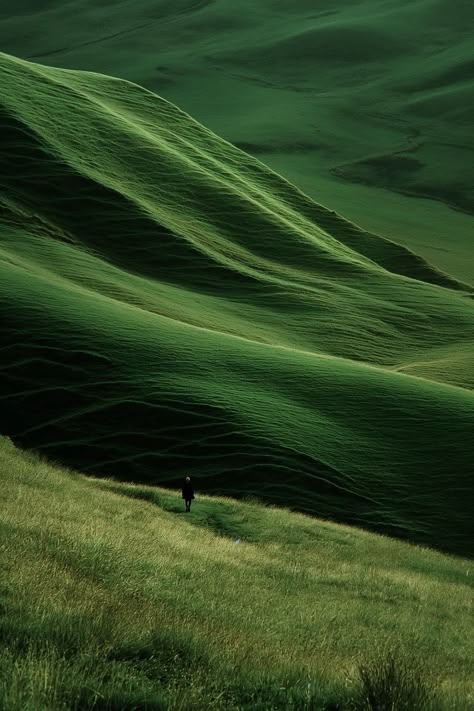 Rolling Hills Landscape, Grassy Landscape, Cinematic Landscape, Highland Landscape, Ricoh Gr Iii, Scottish Landscapes, Picture Of A Person, Hill Landscape, Wild Landscape