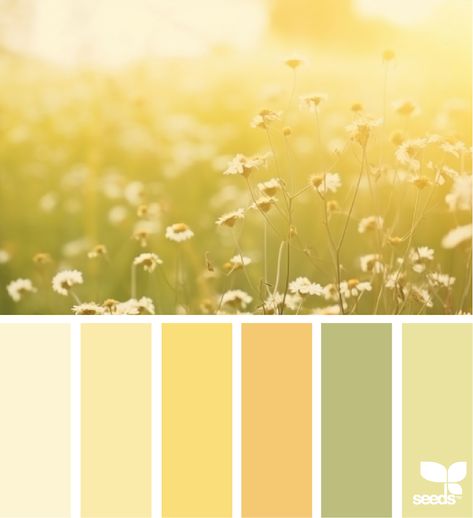 4 Seasons Color Palette, Green White Color Palette, Inspiration Color Palettes, Dandelion Color, Color Thesaurus, Summer Tones, Colour Crush, Color Seasons, Color Palette Yellow