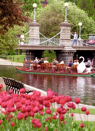 Massachusetts Summer, Swan Boat, Swan Boats, Boston Commons, Make Way For Ducklings, Boston Trip, Boston Public Garden, Boston Usa, Boston Mass