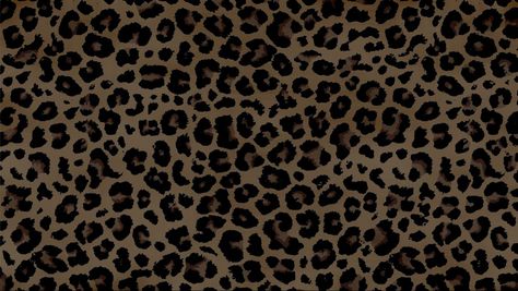 Leapord Back Wallpaper, Cheetah Laptop Wallpaper Aesthetic, Ipad Wallpaper Cheetah, Cheetah Print Ipad Wallpaper, Ipad Wallpaper Leopard Print, Leopard Print Ipad Wallpaper, Google Homescreen Wallpaper Laptop, Cheetah Print Computer Wallpaper, Cute Macbook Screensavers