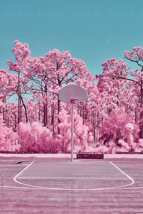 Asthetic Picture White And Black, Pink Basketball, Infrared Photography, Scenery Paintings, World Pictures, Screen Savers, Us Images, Instagram Inspiration, Presentation Design