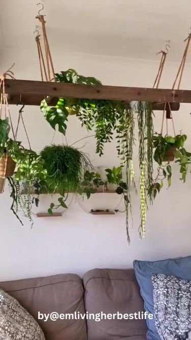 Use transparent glass terrariums to hang succulents or air plants, adding an elegant and delicate touch. Plant Laundry Room, Plants In Bedroom Decoration, Plant Hanging Ideas Diy, Window Plant Hanger, Diy Plant Holder, Driftwood Plant, Hanging House Plants, Hanging Plant Ideas, Plant Ladder