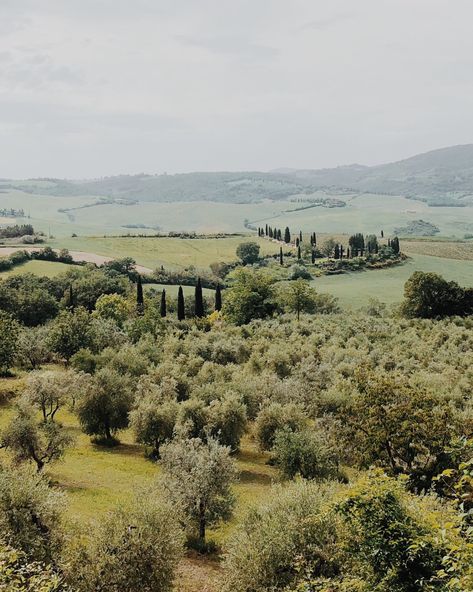 Provence Landscape, France Landscape, Tuscan Landscaping, Tuscany Travel, Dream Jeans, Garden Tours, Beautiful Villages, Birds Eye, South Of France