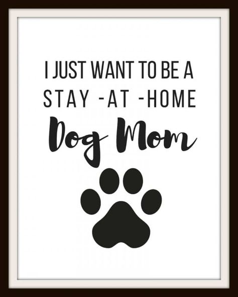 I just want to be a Stay at Home Dog Mom FREE PRINTABLE Stay At Home Dog Mom Quotes, Free Printable Monogram, Stay At Home Dog Mom, Dog Mom Quotes, Dog Sayings, Dog Corner, Monogram Printable, Cricut Explore Projects, Vector Quotes