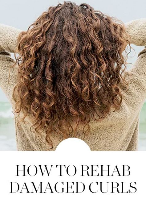 Hairstyles Damaged Hair, Best Haircuts For Curly Hair, Damaged Curly Hair, Curly Cut, Awesome Hairstyles, Best Haircuts, Haircuts For Curly Hair, Curly Girl Method, Celebrity Hair Stylist