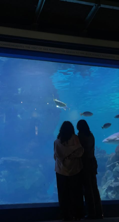 sea sillies aquarium date Aquarium Date Wlw, Aquarium Date, Teenage Romance, Want A Girlfriend, Dream Dates, Dream Date, Woman Loving Woman, Cute Date Ideas, Girlfriend Goals