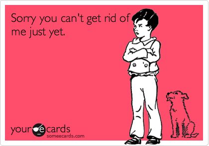 Sorry you cant get rid of me just yet. Me Quotes Funny, E Card, Someecards, How I Feel, Quotes Funny, Bones Funny, Great Quotes, True Stories, That Way