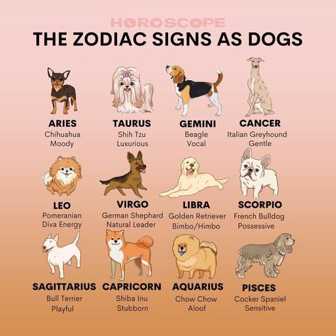 Zodiac Powers, Zodiac Signs As Dogs, Zodiac Sayings, Celtic Zodiac, Zodiac Signs Pictures, Dragon Zodiac, Virgo And Scorpio, Zodiac Signs Chart, Scorpio Zodiac Facts