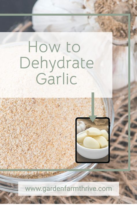 Fresh garlic is delicious, but there are several reasons to consider dehydrating your harvest. Learn benefits of Garlic and how to dehydrate your own garlic. Vegetable Garden In Ground, Dehydrate Garlic, Drying Garlic, Garden In Ground, Winter Vegetable Garden, Small Vegetable Garden, Gardening Layout, Benefits Of Garlic, Harvesting Garlic