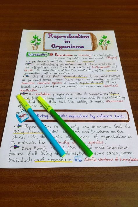 asexual and sexual reproduction in organisms study notes aesthetic explained Entrance Aesthetic, Biology Study Notes, Reproduction In Organisms, Aesthetic Study Notes, Vegetative Reproduction, Science Images, Notes Study, Ap Biology, Grade 12