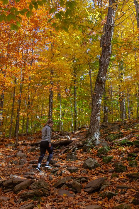 Catskills Aesthetic, Storm King Art Center, Catskills Ny, Autumn Weekend, The Catskills, Bear Mountain, Local Brewery, Getaway Cabins, What To Pack