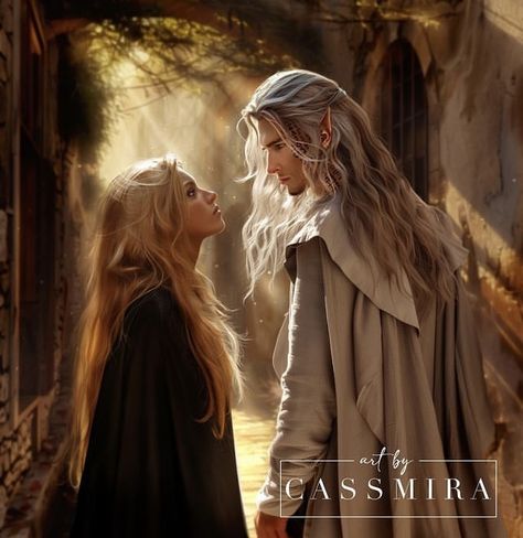 Celaena And Rowan, Heir Of Fire, Glass Quotes, Throne Of Glass Characters, Rowan And Aelin, Mythical Art, Tog Series, Throne Of Glass Fanart, Aelin Ashryver Galathynius