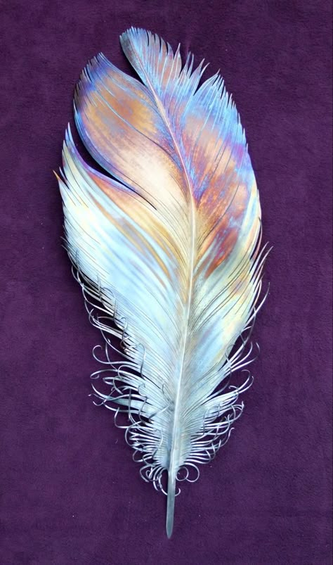 Feather Art Drawing, Dream Catcher Project, The Nightingale And The Rose, The White Snake, Memorial Tattoo Quotes, Art Feathers, Angel Feather, Angel Feathers, Wallpaper Iphone Neon