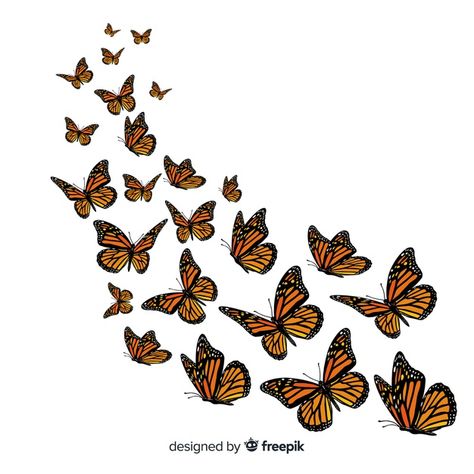 Flying Background, Vector Butterfly, Fly Drawing, Decorative Butterfly, Animal Butterfly, About Butterfly, Background Nature, Butterfly Wall Decals, Cartoon Butterfly